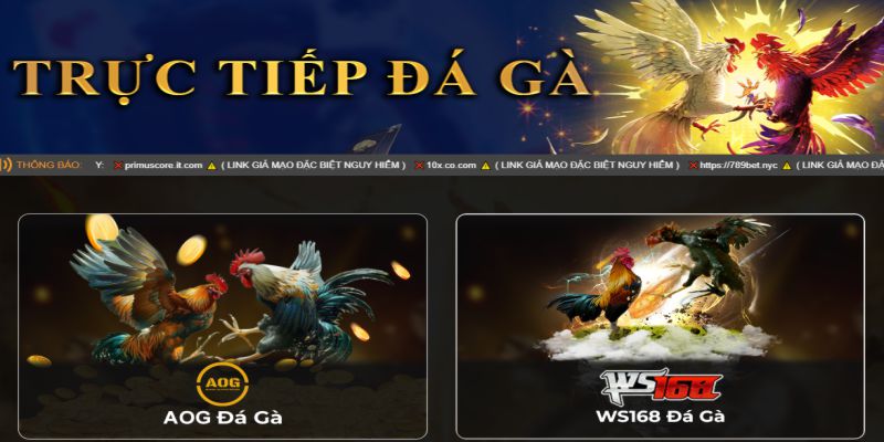 Đá gà 789bet kịch tính 2026